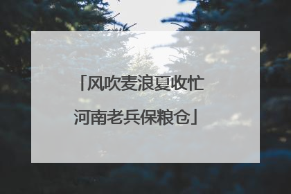 风吹麦浪夏收忙 河南老兵保粮仓