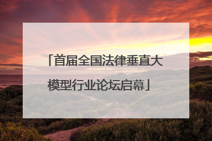 首届全国法律垂直大模型行业论坛启幕