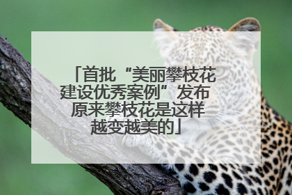 首批“美丽攀枝花建设优秀案例”发布 原来攀枝花是这样越变越美的