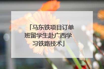 马东铁项目订单班留学生赴广西学习铁路技术