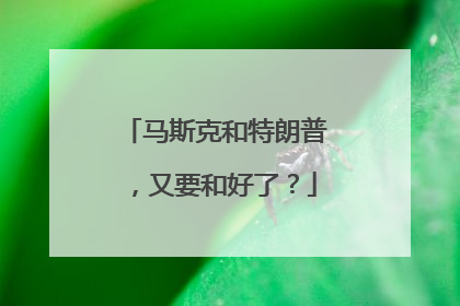 马斯克和特朗普，又要和好了？