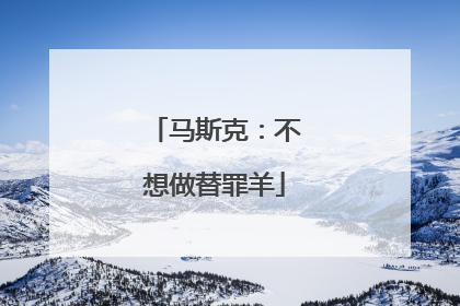 马斯克：不想做替罪羊