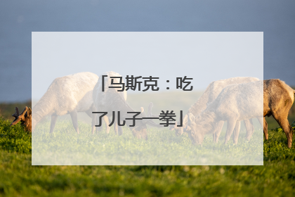 马斯克：吃了儿子一拳