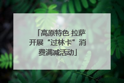 高原特色 拉萨开展“过林卡”消费满减活动
