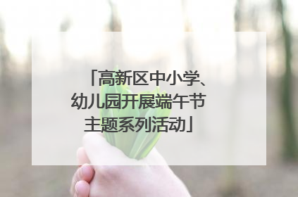 高新区中小学、幼儿园开展端午节主题系列活动