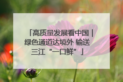 高质量发展看中国｜绿色通道达境外 输送三江“一口鲜”