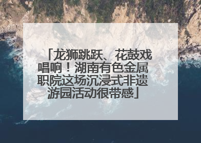 龙狮跳跃、花鼓戏唱响！湖南有色金属职院这场沉浸式非遗游园活动很带感