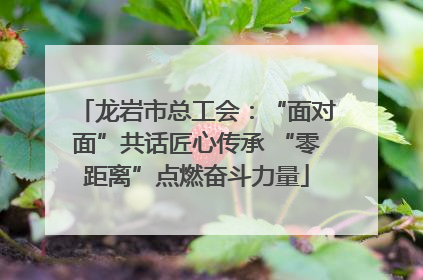 龙岩市总工会：“面对面”共话匠心传承 “零距离”点燃奋斗力量