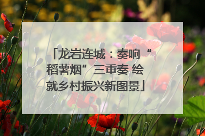 龙岩连城：奏响“稻薯烟”三重奏 绘就乡村振兴新图景