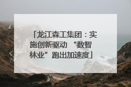 龙江森工集团：实施创新驱动 “数智林业”跑出加速度