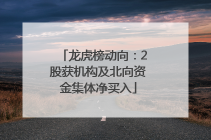 龙虎榜动向：2股获机构及北向资金集体净买入