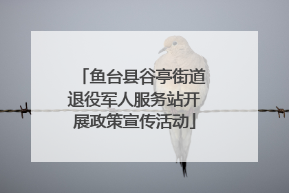 鱼台县谷亭街道退役军人服务站开展政策宣传活动
