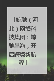鲸驰（河北）网络科技集团：鲸驰出海，开启跨境新航程