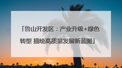 鲁山开发区：产业升级+绿色转型 描绘高质量发展新蓝图