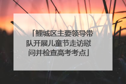 鲤城区主要领导带队开展儿童节走访慰问并检查高考考点