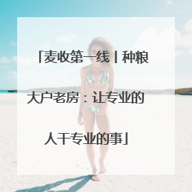 麦收第一线丨种粮大户老房：让专业的人干专业的事
