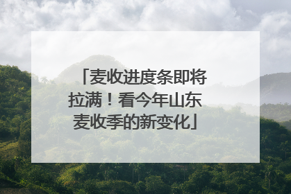 麦收进度条即将拉满！看今年山东麦收季的新变化