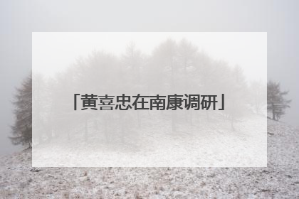 黄喜忠在南康调研