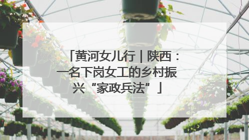 黄河女儿行｜陕西：一名下岗女工的乡村振兴“家政兵法”