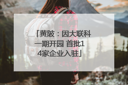 黄陂：因大联科一期开园 首批14家企业入驻