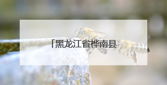 黑龙江省桦南县：科技人才驱动 赋能产业促发展