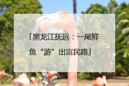 黑龙江抚远：一尾鲜鱼“游”出富民路