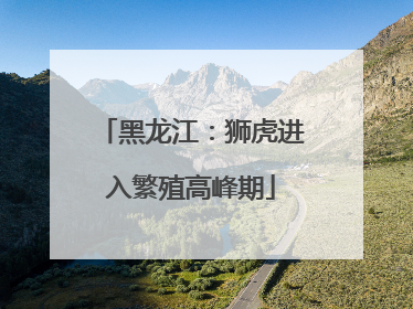 黑龙江：狮虎进入繁殖高峰期
