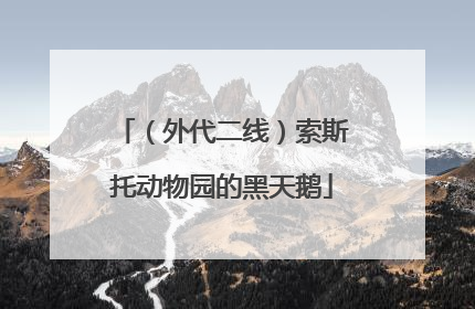 （外代二线）索斯托动物园的黑天鹅