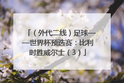 （外代二线）足球——世界杯预选赛：比利时胜威尔士（3）