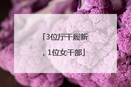 3位厅干履新，1位女干部