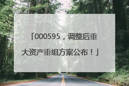 000595，调整后重大资产重组方案公布！