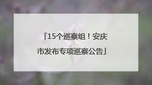 15个巡察组！安庆市发布专项巡察公告