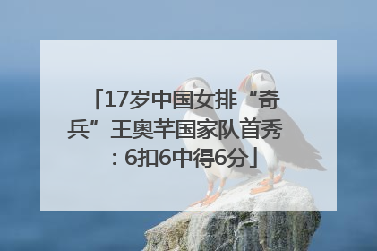 17岁中国女排“奇兵”王奥芊国家队首秀：6扣6中得6分
