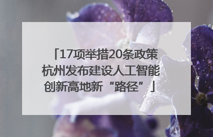17项举措20条政策 杭州发布建设人工智能创新高地新“路径”