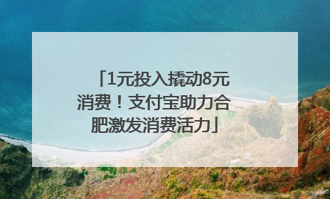 1元投入撬动8元消费！支付宝助力合肥激发消费活力