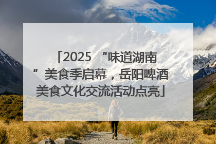 2025 “味道湖南”美食季启幕，岳阳啤酒美食文化交流活动点亮