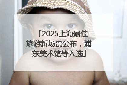 2025上海最佳旅游新场景公布，浦东美术馆等入选