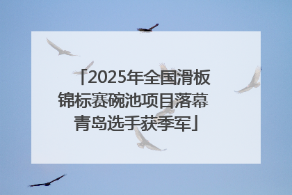 2025年全国滑板锦标赛碗池项目落幕 青岛选手获季军