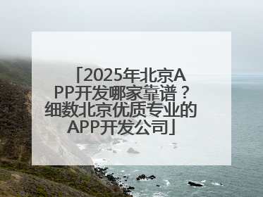 2025年北京APP开发哪家靠谱？细数北京优质专业的APP开发公司