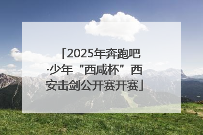 2025年奔跑吧·少年“西咸杯”西安击剑公开赛开赛