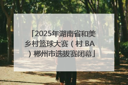 2025年湖南省和美乡村篮球大赛（村 BA）郴州市选拔赛闭幕