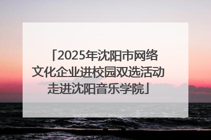 2025年沈阳市网络文化企业进校园双选活动走进沈阳音乐学院