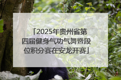 2025年贵州省第四届健身气功气舞暨段位积分赛在安龙开赛