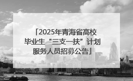 2025年青海省高校毕业生“三支一扶”计划服务人员招募公告