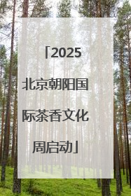 2025北京朝阳国际茶香文化周启动