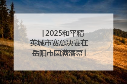 2025和平精英城市赛总决赛在岳阳市圆满落幕