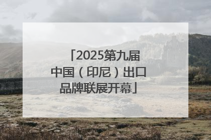 2025第九届中国（印尼）出口品牌联展开幕