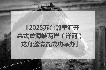 2025苏台邻里汇开幕式暨海峡两岸（洋河）龙舟邀请赛成功举办