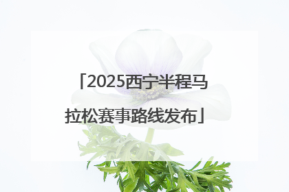 2025西宁半程马拉松赛事路线发布