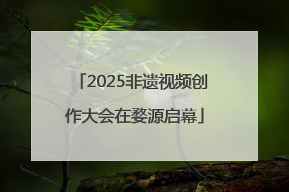 2025非遗视频创作大会在婺源启幕